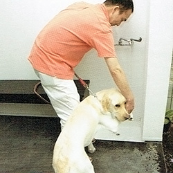 愛犬家住宅　リビング・ダイニング