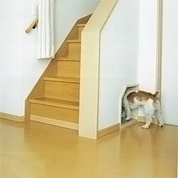 愛犬家住宅　リビング・ダイニング