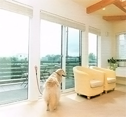 リビング・ダイニング