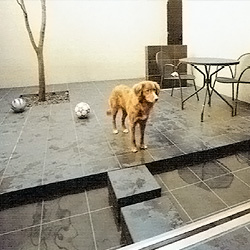 足洗い場・プール