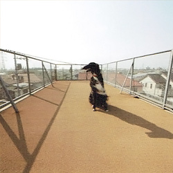 愛犬家住宅　リビング・ダイニング